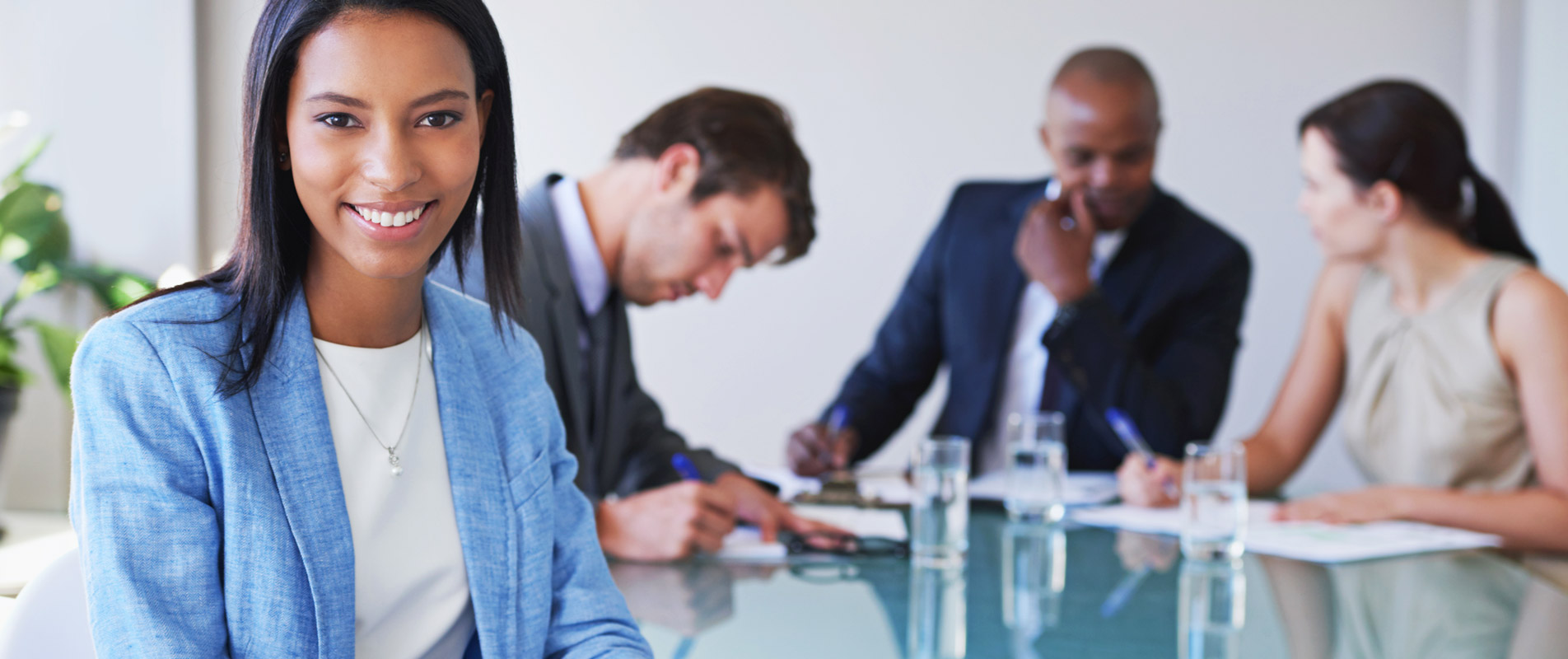 Diles Consulting Clients